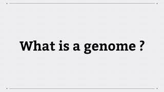 What is a genome [upl. by Outhe]