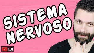 SISTEMA NERVOSO  FISIOLOGIA  Aula  Biologia com Samuel Cunha [upl. by Zamir]