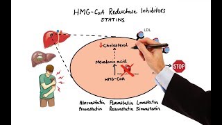 How does Simvastatin Statins work [upl. by Benildis]