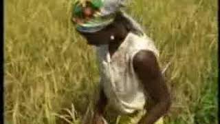 Le plus grand film africain Yélé lorpheline 02 en Malinké [upl. by Feeney366]