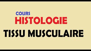 cours HISTOLOGIE Ep3  Tissu musculaire [upl. by Gromme702]