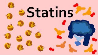 Statins and Cholesterol [upl. by Natam]