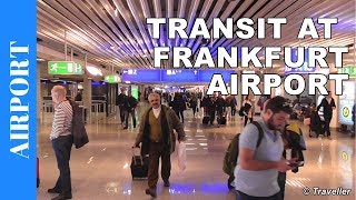 TRANSIT WALK AT FRANKFURT Airport FRA Terminal 1  Connection Flight Transfer Arriving amp Departing [upl. by Rhoda]