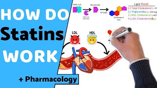 How do Statins Work  Pharmacology [upl. by Ayerf133]